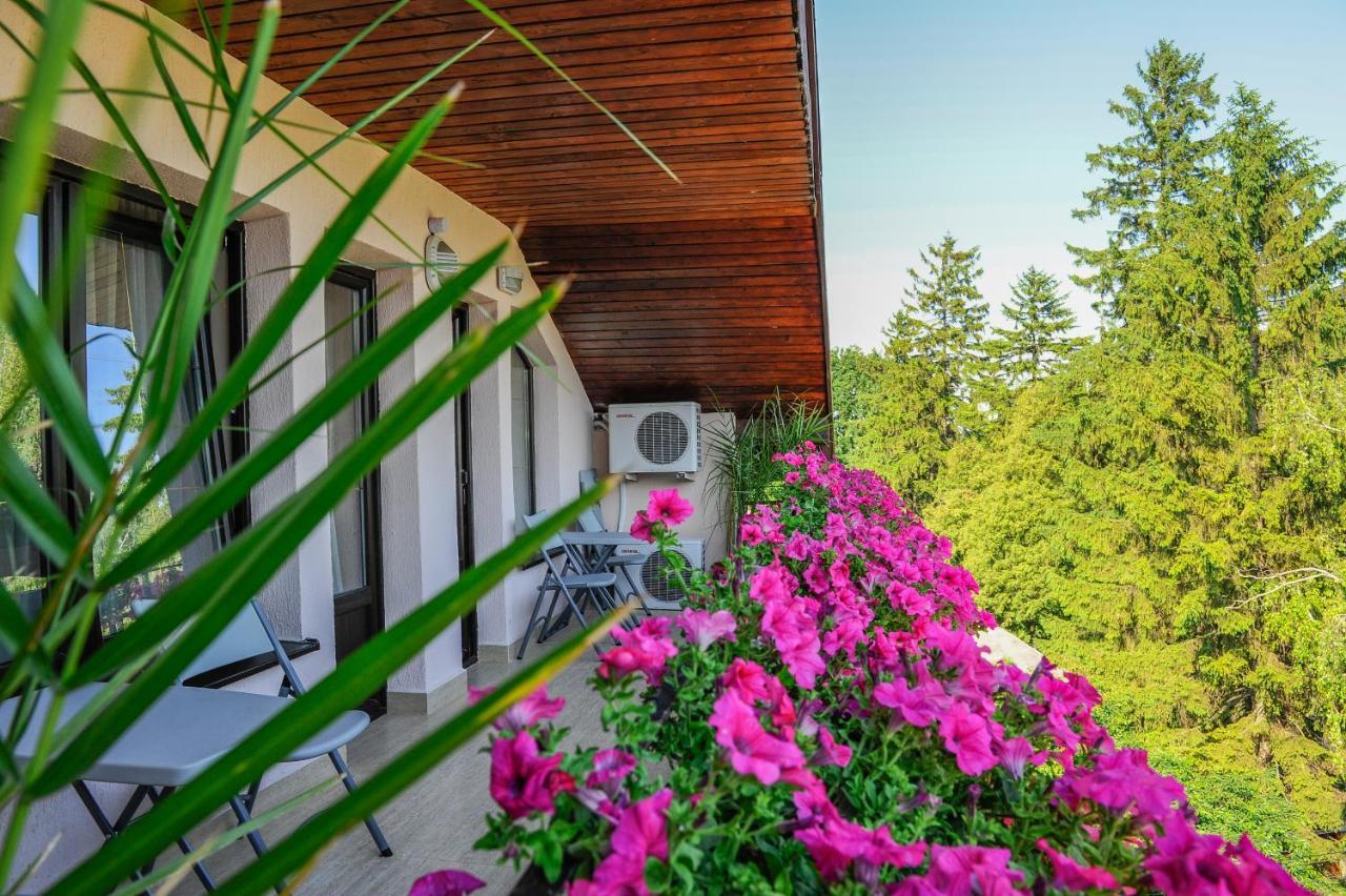 Villa Alice Suceava Extérieur photo
