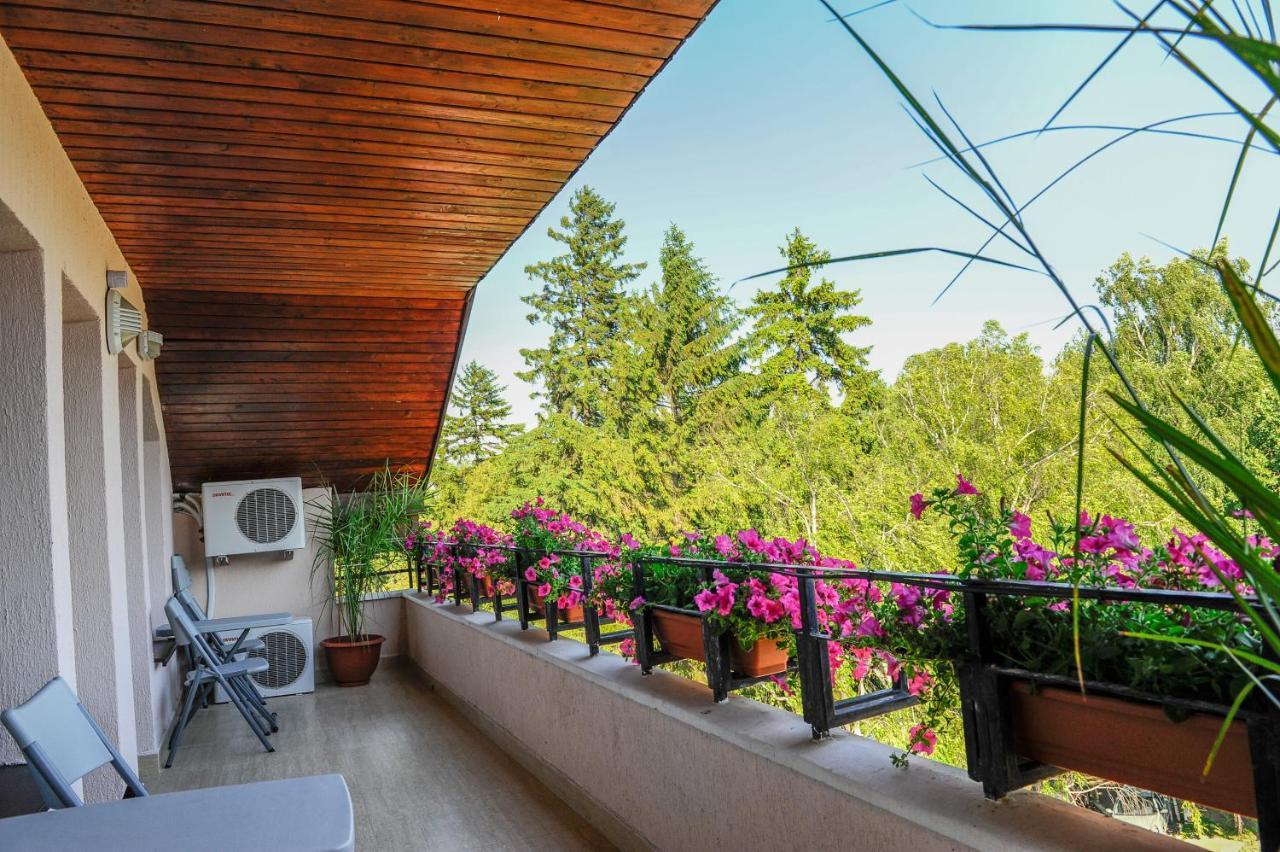 Villa Alice Suceava Extérieur photo